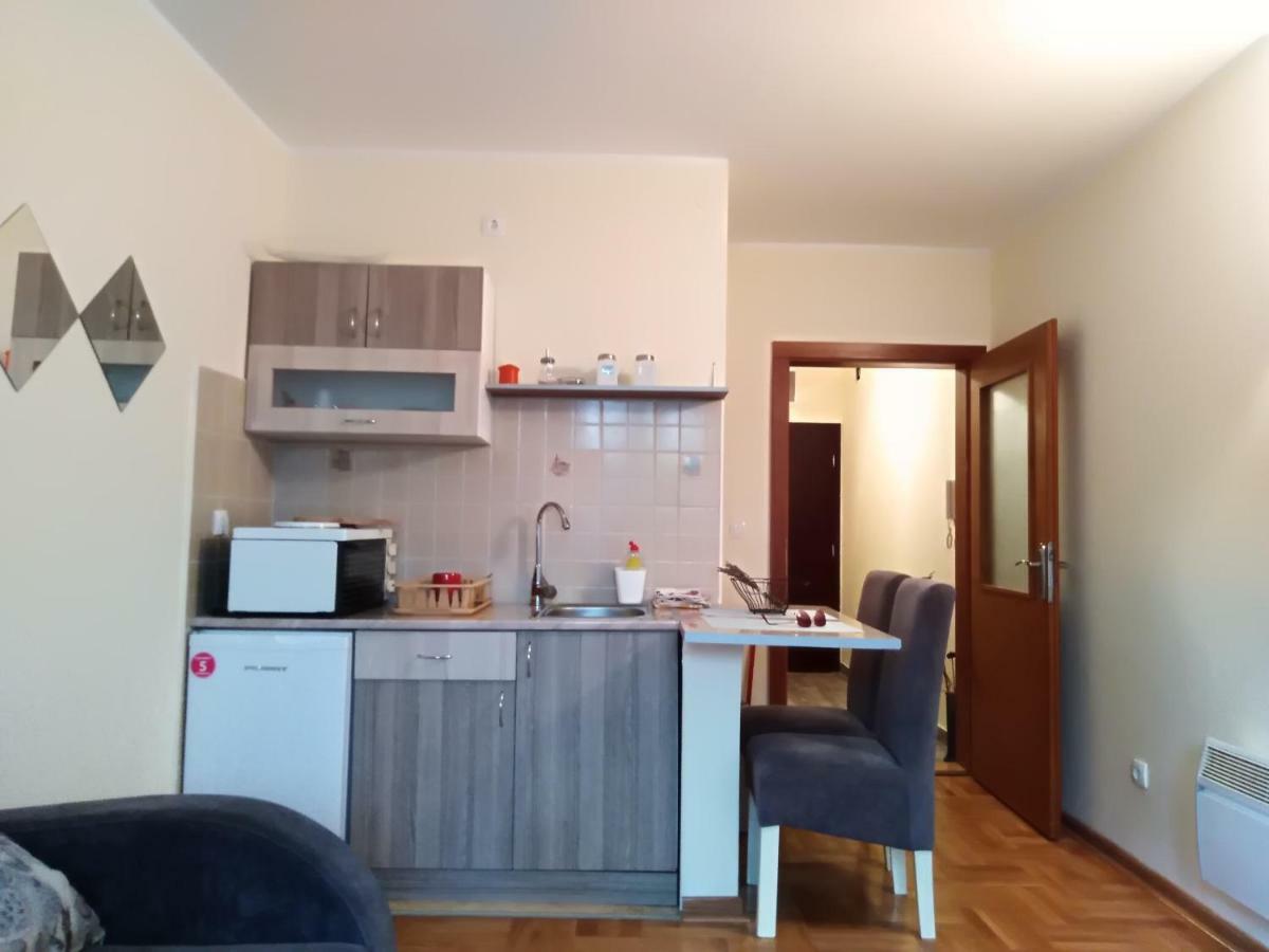 Studio Dunja Vrnjačka Banja Exterior foto